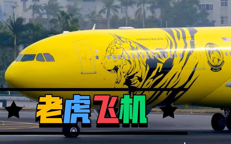 PA娱乐魔龙大全深度解析带你玩转魔龙世界尽享游戏乐趣